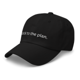 Stick to the Plan (Dad Hat)